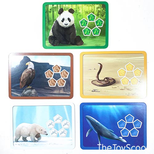 Planet Animal Cards